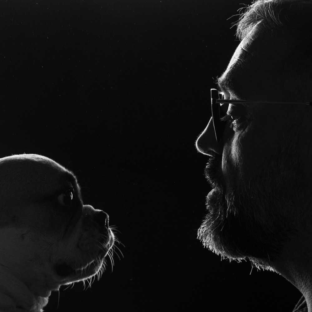 photographe animal jarnac charente 17 1
