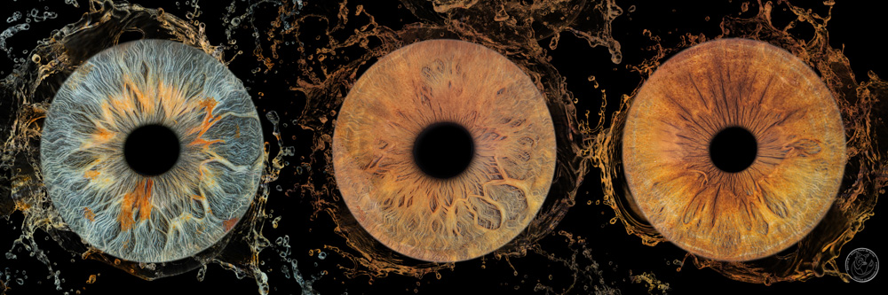photographe iris jarnac charente 10