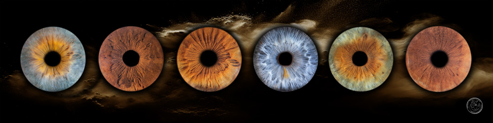 photographe iris jarnac charente 4