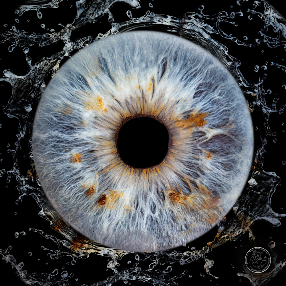 photographe iris jarnac charente 9 1