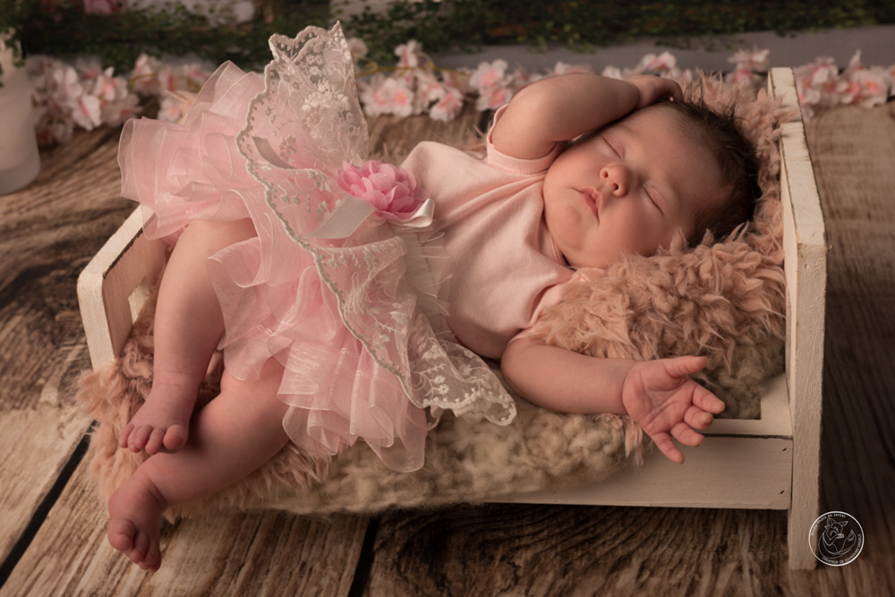 photographe naissance animal jarnac charente 2 2
