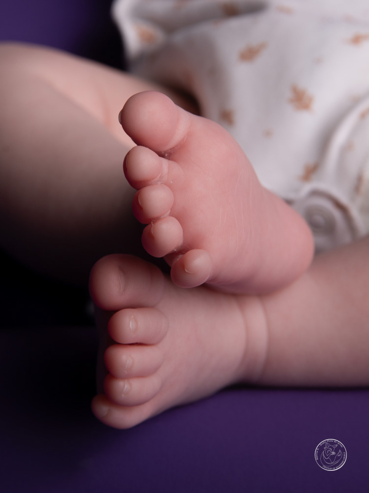 photographe naissance animal jarnac charente 3 1