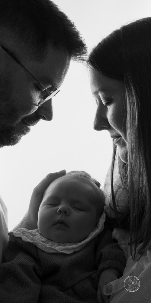 photographe naissance animal jarnac charente_ 4
