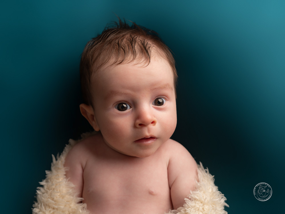 photographe naissance animal jarnac charente 5 2