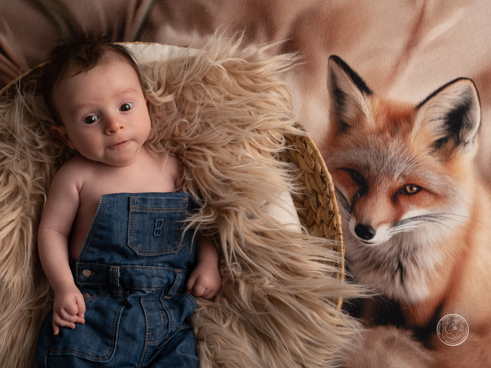 photographe naissance animal jarnac charente 6 1