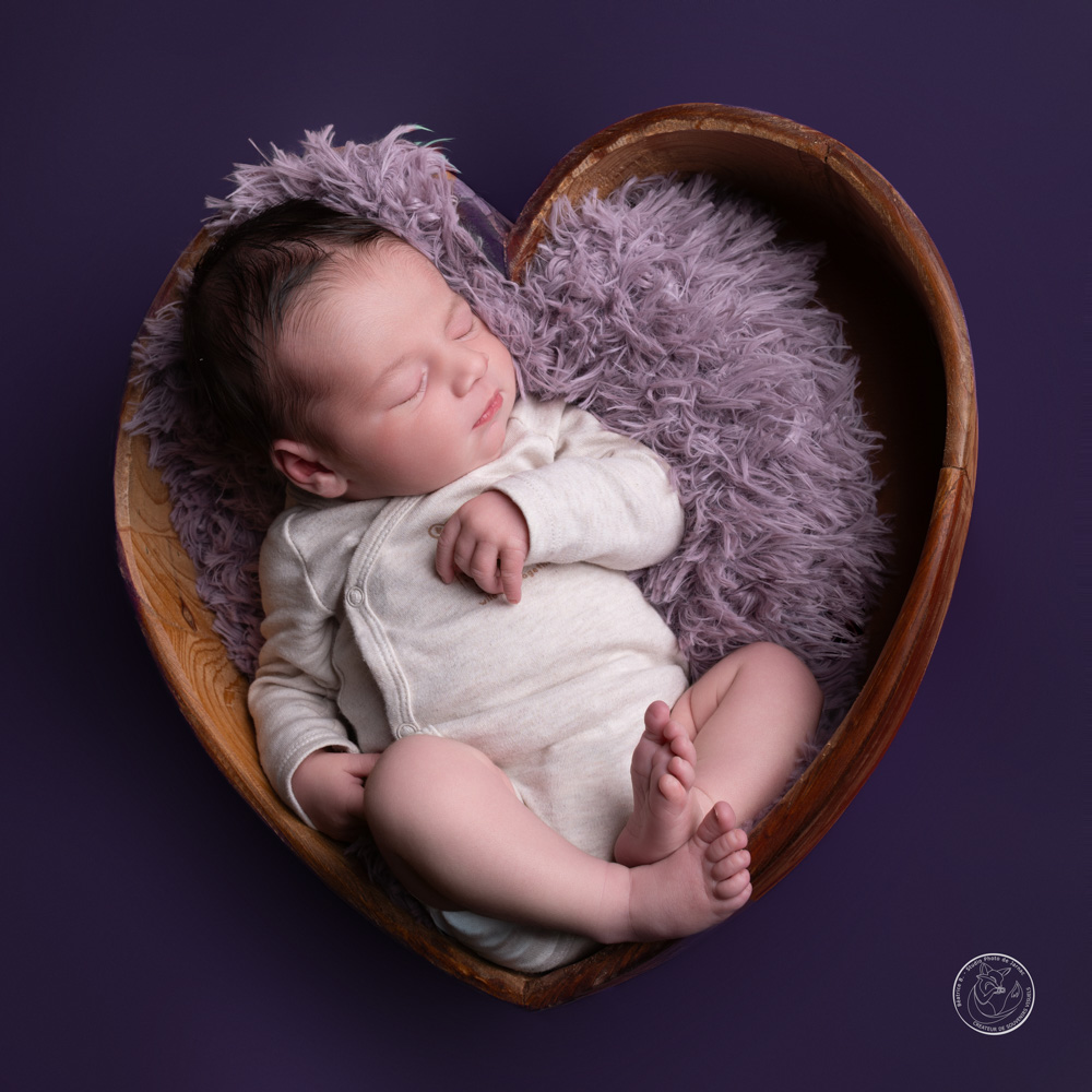 photographe naissance animal jarnac charente 8 1